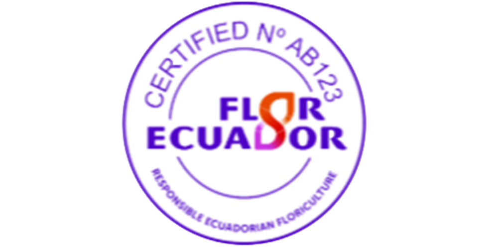 Flor Ecuador Plus Certified®