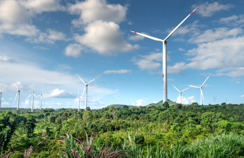 Member insights: Mondelēz International Brazil shares their decarbonisation journey