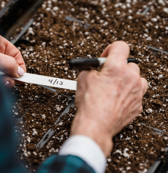 We need your input to shape the future of regenerative agriculture in the consumer goods industry <br />
