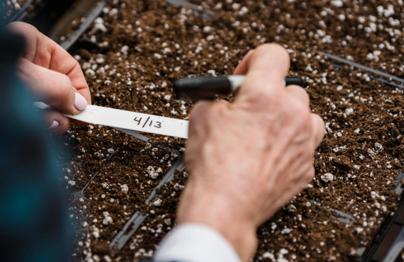 We need your input to shape the future of regenerative agriculture in the consumer goods industry