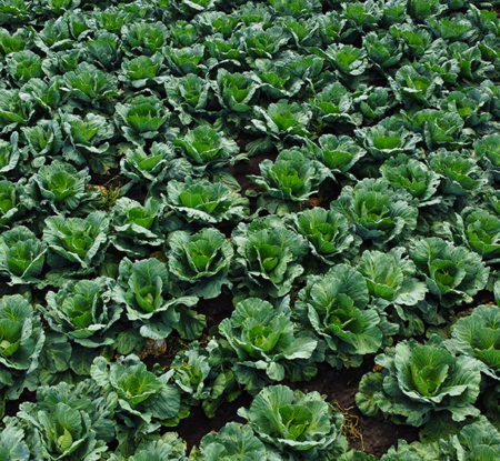 From food waste to food value: A new way to identify where business can act