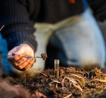 Public consultation open: shape the future of regenerative agriculture in the consumer goods industry