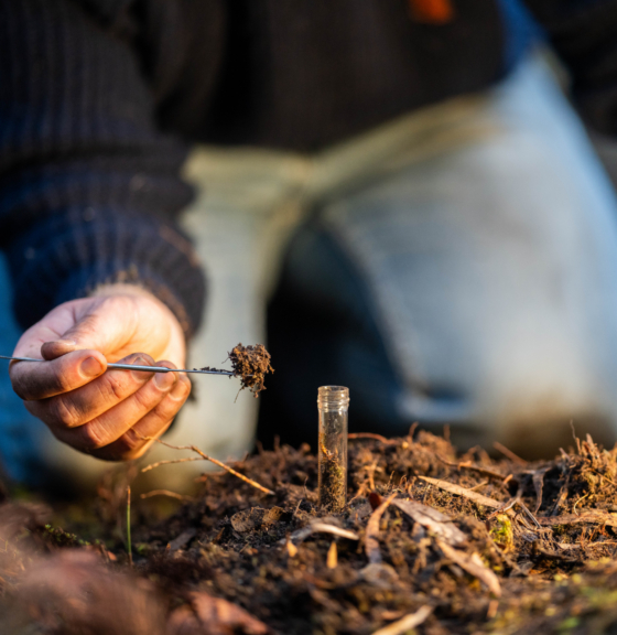 Public consultation open: shape the future of regenerative agriculture in the consumer goods industry 