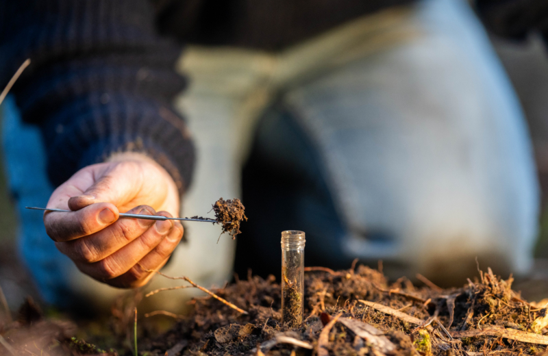 Public consultation open: shape the future of regenerative agriculture in the consumer goods industry