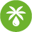 Palm Oil