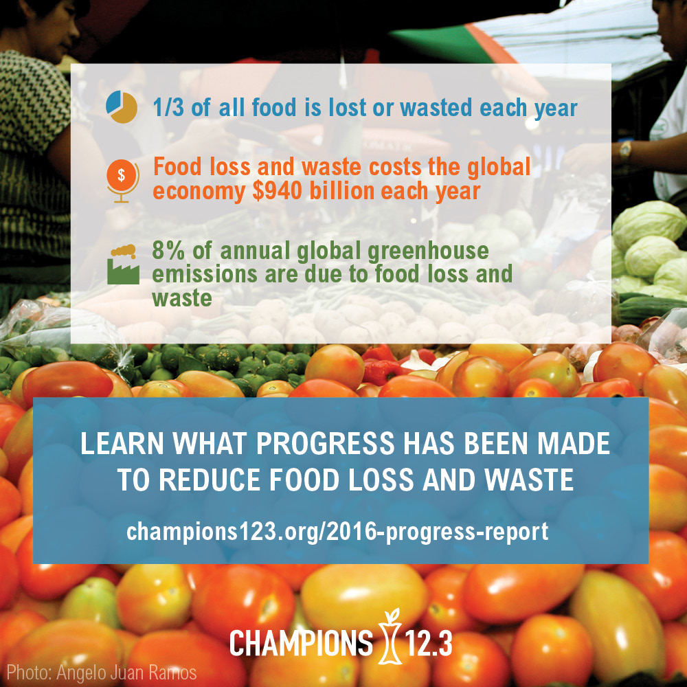 New Champions 12.3 Report Asks if World is Making Progress on Food Loss and Waste