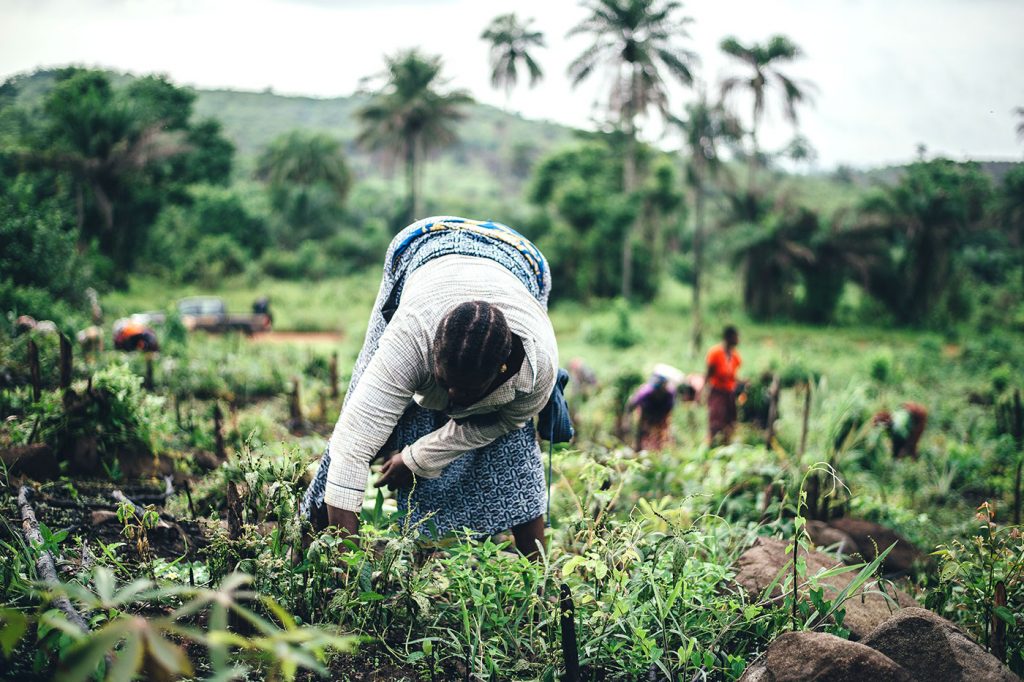 Coalition of Global Consumer Goods Companies Launches Framework for the Implementation of Human Rights Due Diligence Systems in Aligned Approach Against Forced Labour