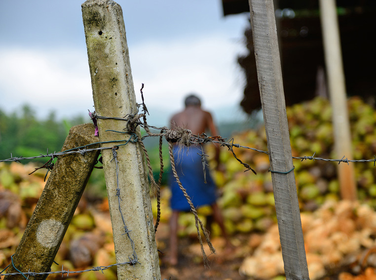 CGF Becomes Member of a United Nations Environment Programme Multi-Stakeholder Advisory Committee