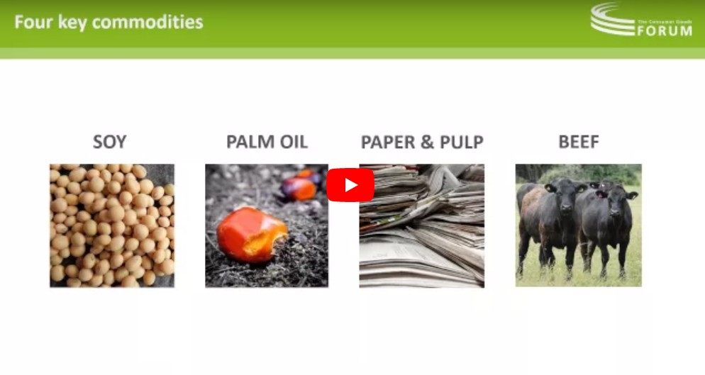 Webinar Recording: Webinar Recording: Introduction to the CGF Sustainable Palm Oil Sourcing Guidelines