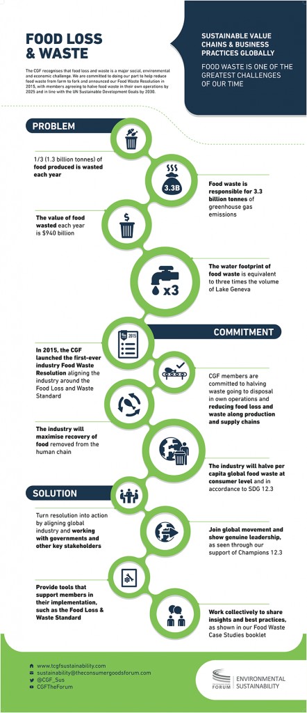 Environmental Sustainability Food Waste Infographic