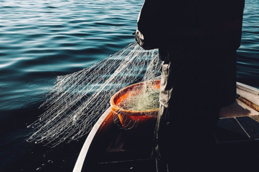 Sustainable Supply Chain Initiative Responds to Human Rights at Sea’s 2023 Review of Fisheries and Aquaculture Certification, Standards and Ratings