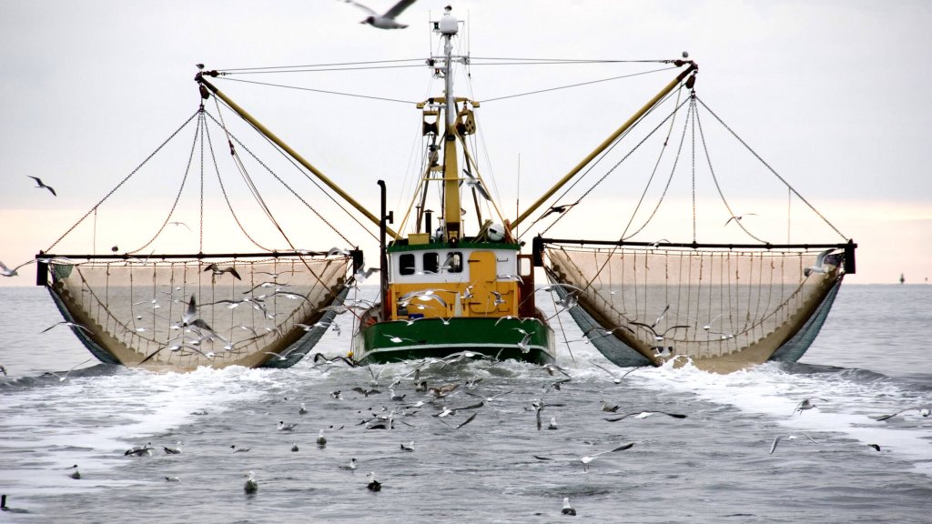 Sustainable Supply Chain Initiative and Global Sustainable Seafood Initiative Launch Public Consultation on At-Sea Operations Social Benchmarking Criteria