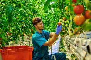 dnv-gl-blog-supply-chains