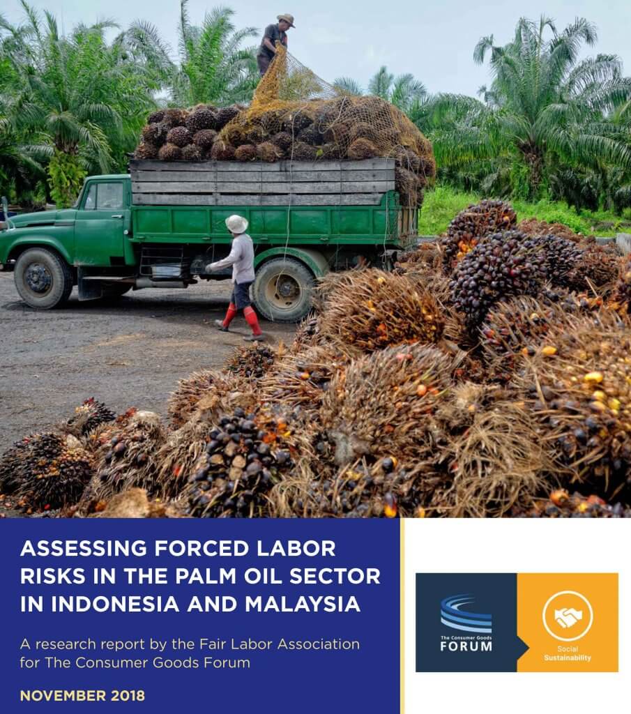 Assessing Forced Labor Risks in the Palm Oil Sector in Indonesia and Malaysia