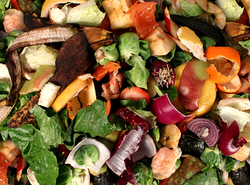 Environmental Sustainability – Food Waste