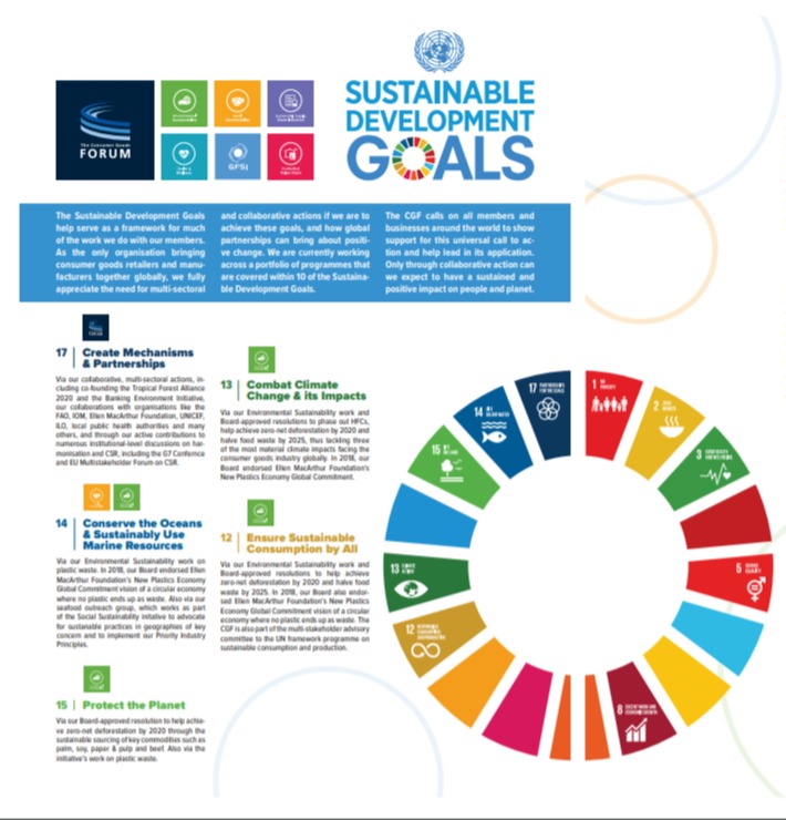CGF & The UN Sustainable Development Goals