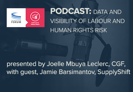 E2E Value Chain Podcast: Data and Visibility of Labour and Human Rights Risk