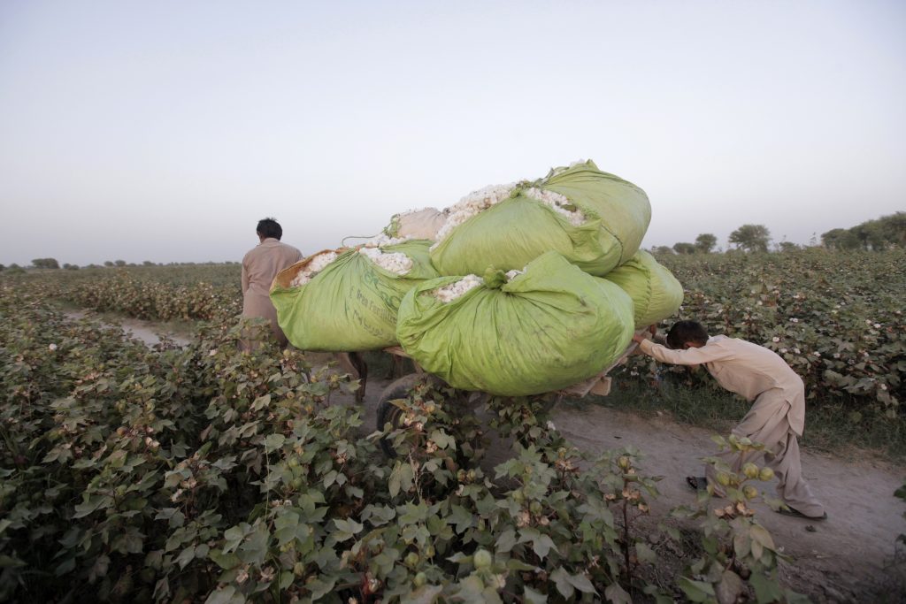 Facilitating a Race to the ‘Top’ for Business in Tackling Modern Slavery and Human Trafficking