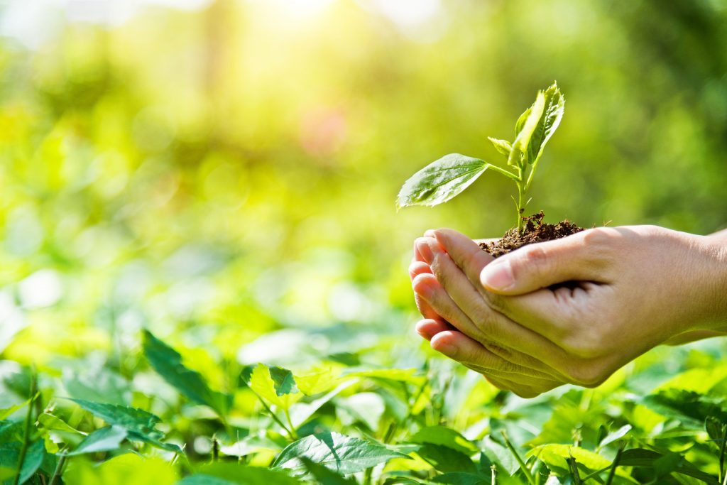 A More Sustainable Future