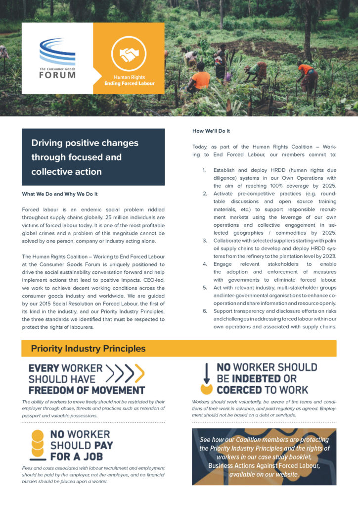 Human Rights Coalition One-Pager