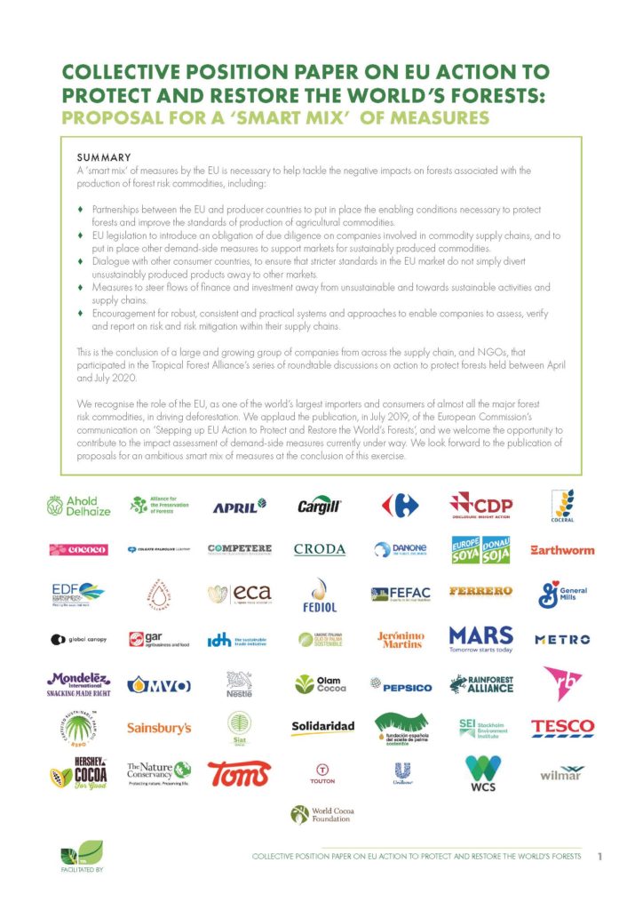 Collective Position Paper on EU Action to Protect and Restore the World’s Forests: Proposal for a “Smart Mix” of Measures