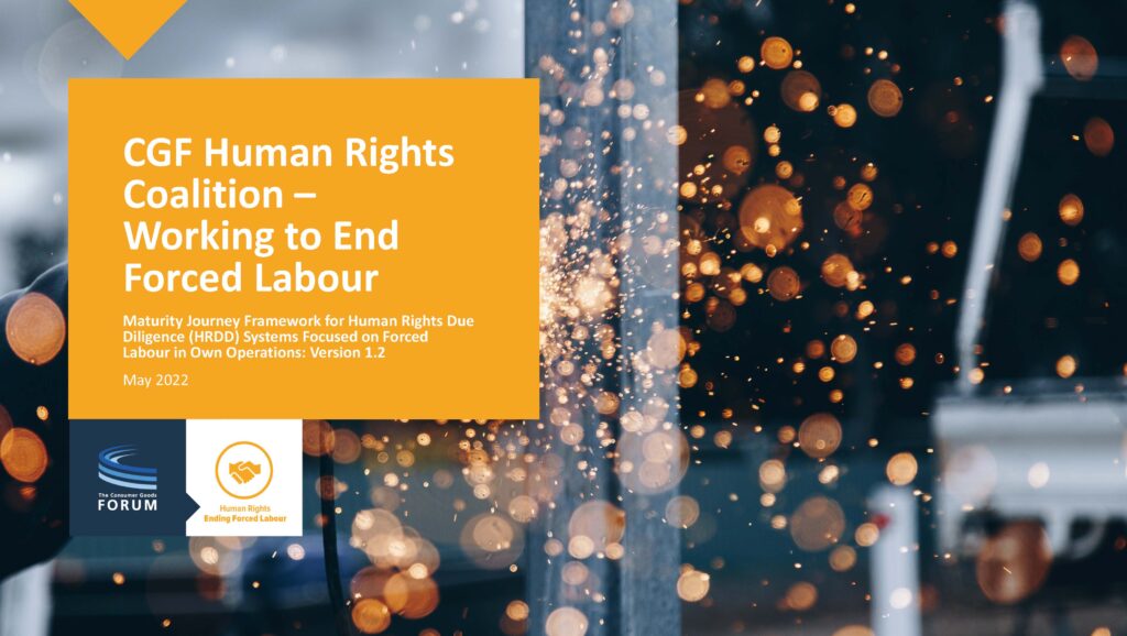 Human Rights Coalition – Working to End Forced Labour: Framework for Human Rights Due Diligence Systems in Own Operations v1.2