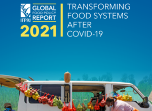 Global Food Policy Report: Transforming Food Systems After COVID-19