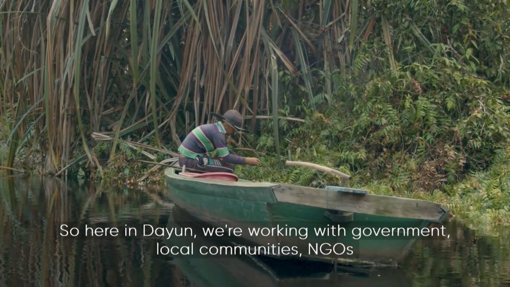 New Film Illustrates Forest Positive Coalition’s First Collective Landscape Investment