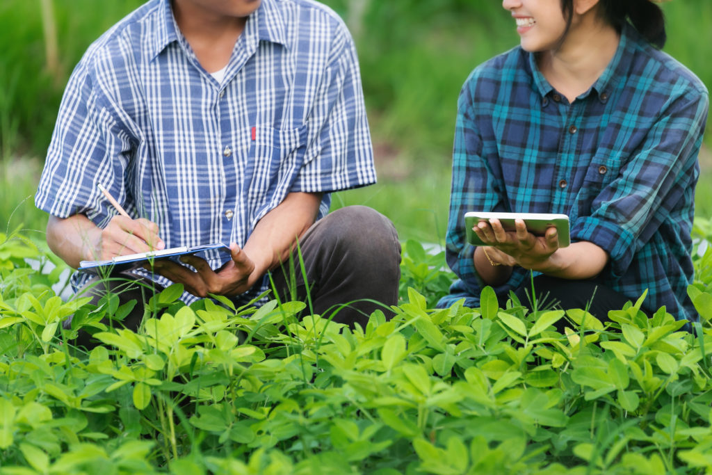 Kenya Flower Council Applies for SSCI Benchmarking 