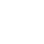 event i-zone icon