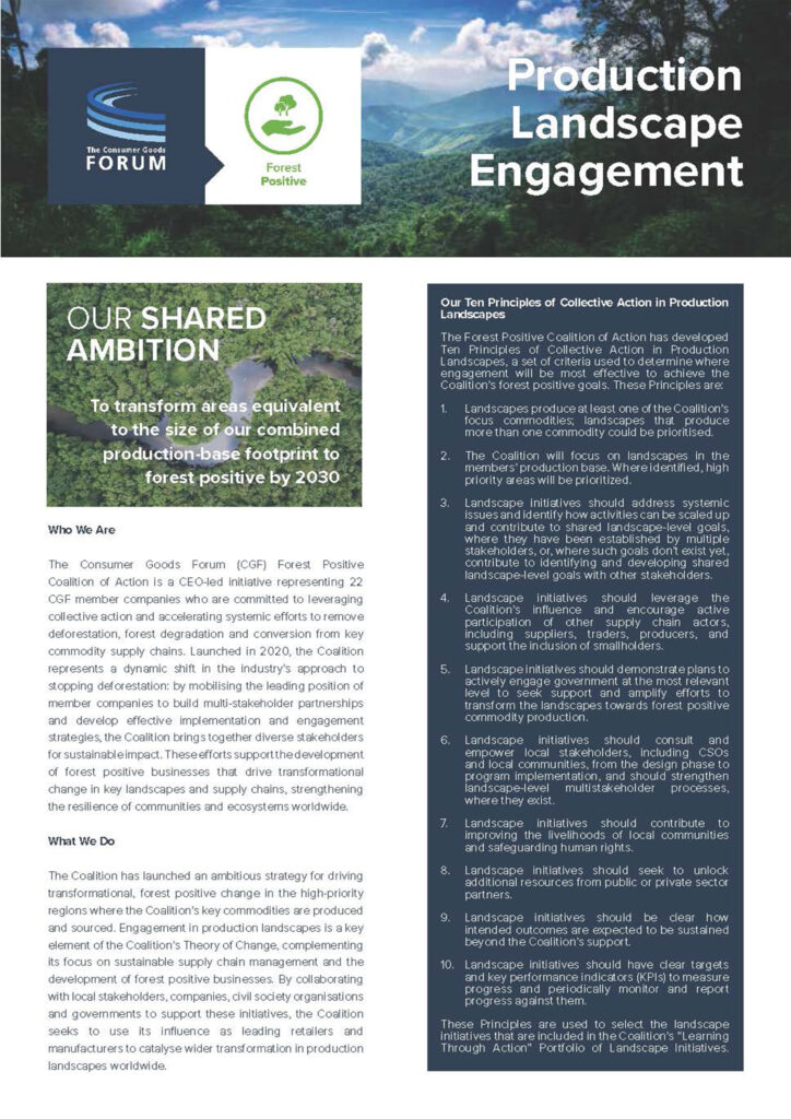 Forest Positive Coalition: Landscape Engagement One-pager