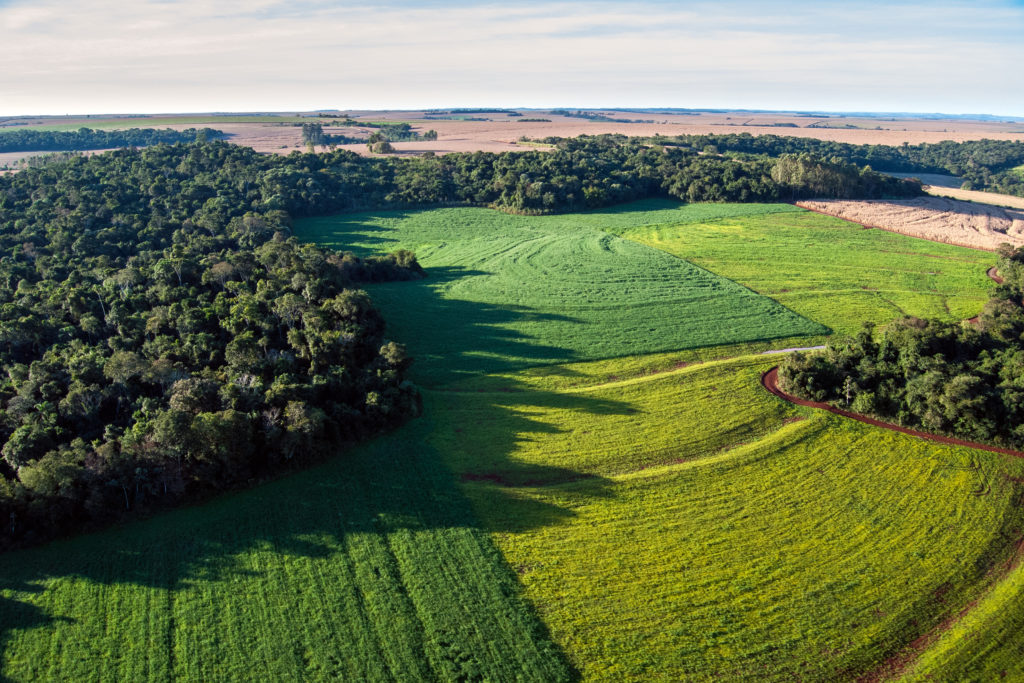 Three Reasons Why Tackling Deforestation is a Business Priority in 2022 and How to Prepare