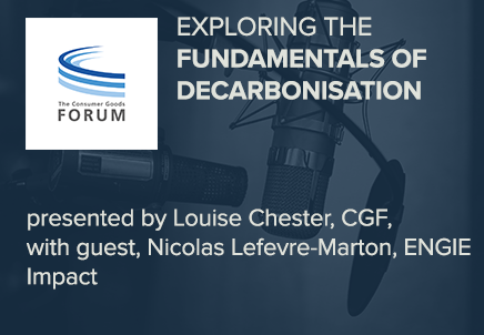 Exploring the Fundamentals of Decarbonisation