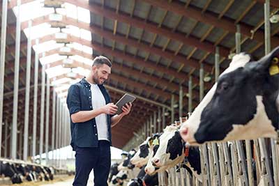 Dairy Farmers Financially Rewarded for Sustainability