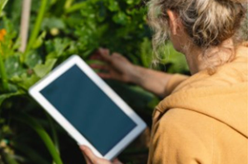 Intelligent Growth Solutions Vertical Farms