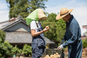 Hand in Hand With Nature: Understanding Nature-Based Solutions in Agriculture Through GIAHS