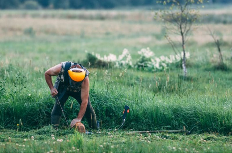 WBCSD Food & Agriculture Pathway