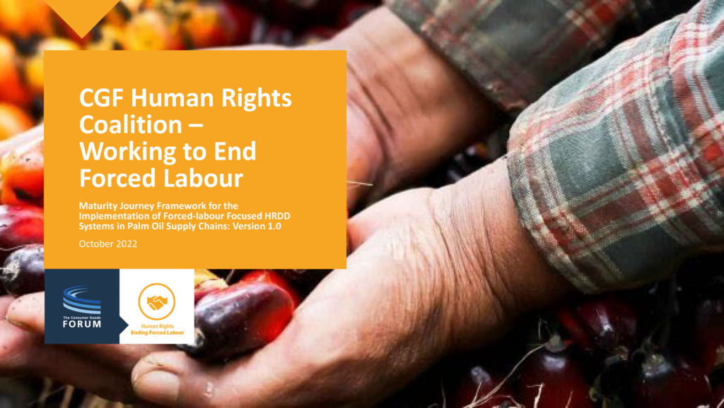 Human Rights Coalition: Framework for Human Rights Due Diligence Systems in Palm Oil Supply Chains v1.0