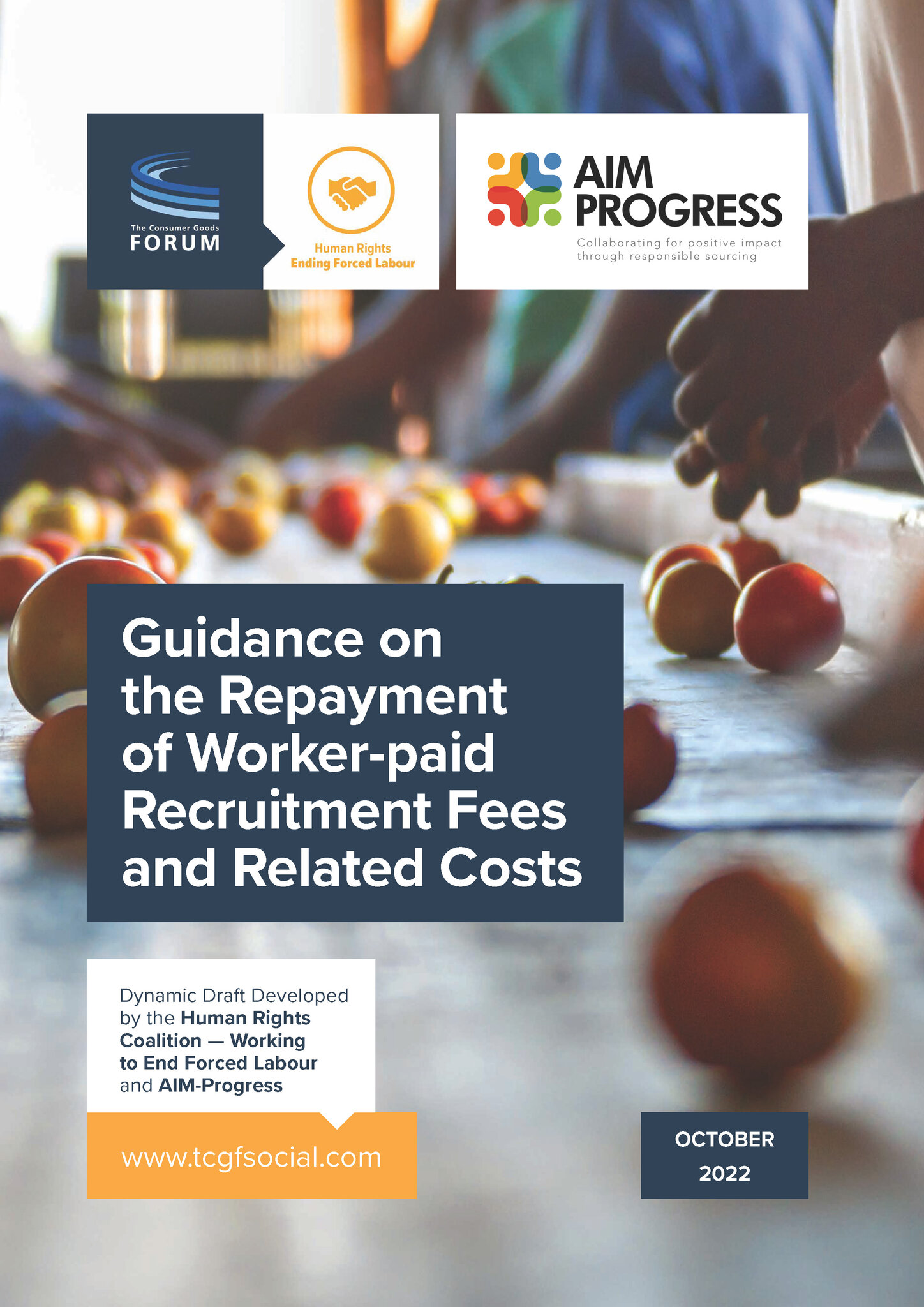 Guidance on the Repayment of Worker-paid Recruitment Fees and Related Costs