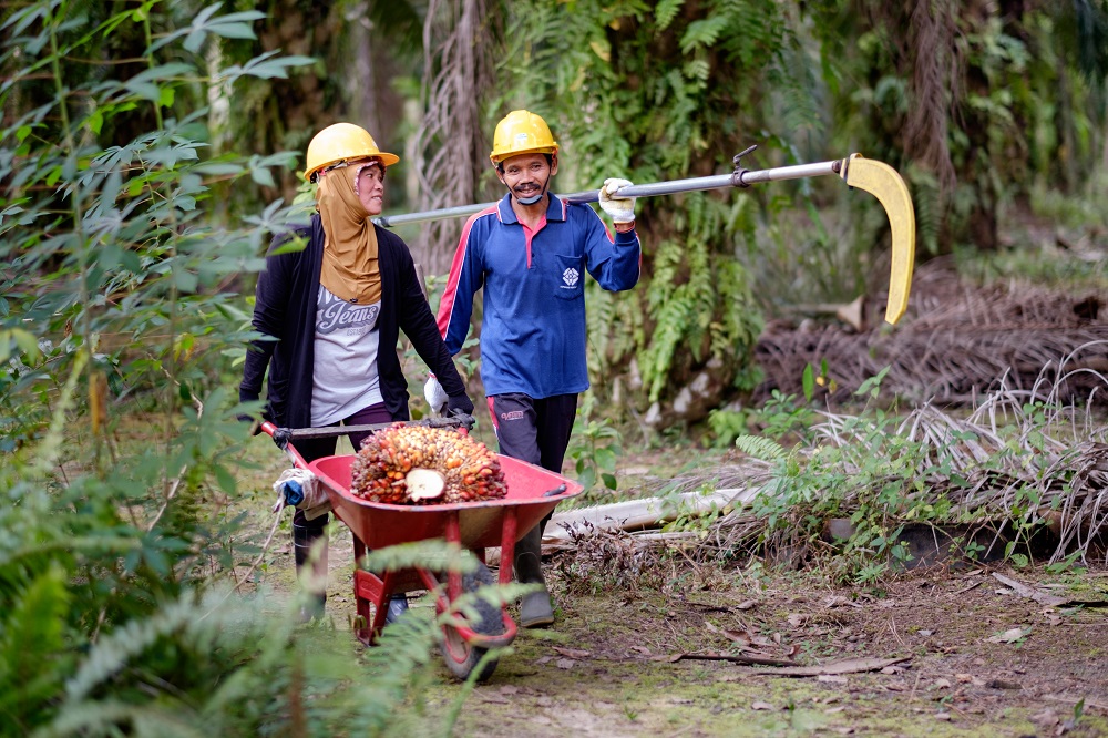 Smallholder outreach via production landscapes