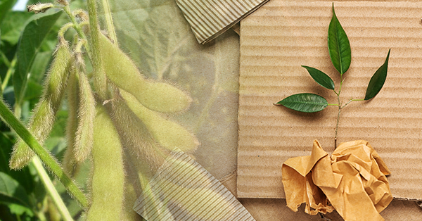 Forest Positive Coalition Releases Implementation Guidance for Commodity Roadmaps on Soy and Paper, Pulp, and Fibre-based Packaging
