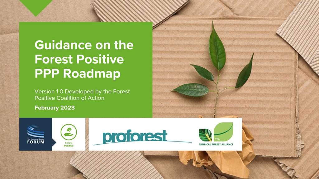 Guidance on the Forest Positive Paper, Pulp, and Fibre-based Packaging Roadmap