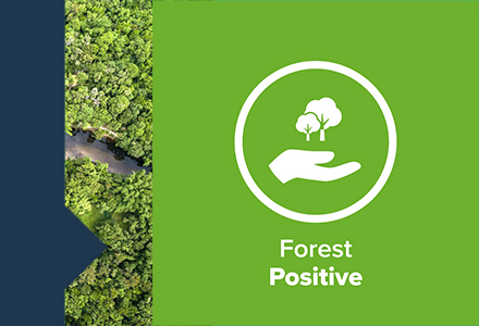 Three reasons why companies should take a landscape approach to tackle deforestation