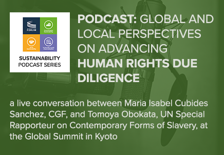 Global and Local Perspectives on Advancing Human Rights Due Diligence