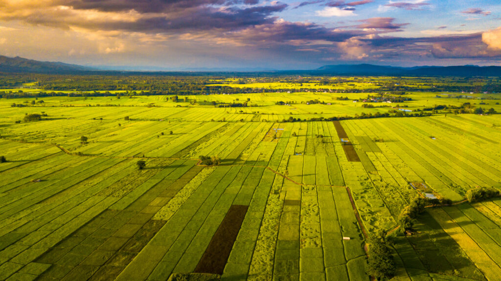 New Report at NY Climate Week Urges Industry Scaling Regenerative Agriculture as Critical for The Future