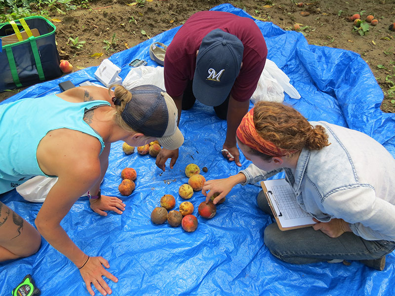 A Global Farm Loss Tool Grounded in Measurement