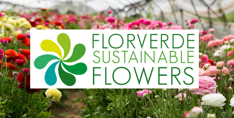 Florverde® Sustainable Flower Achieves SSCI Recognition