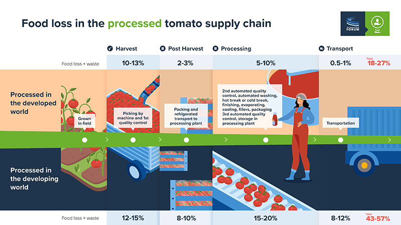 Food Loss in the Processed Tomato Supply Chain