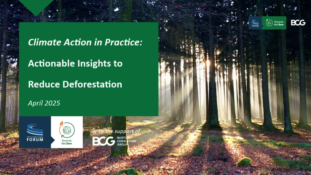 Climate Action in Practice: Actionable Insights to Reduce Deforestation