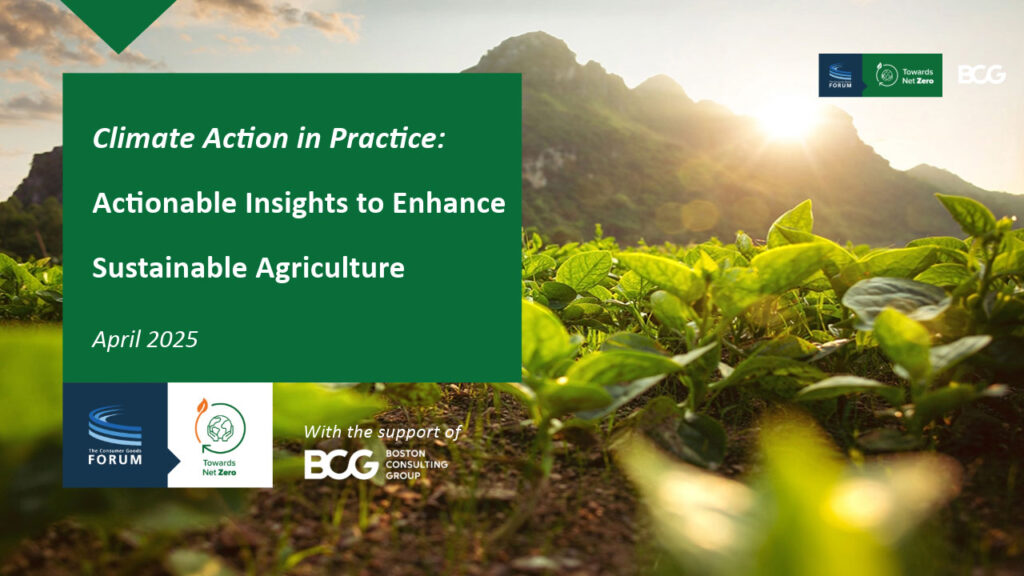 Climate Action in Practice: Actionable Insights to Enhance Sustainable Agriculture